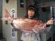 中島幸作さん　ジギング　真鯛79cm5.3kg